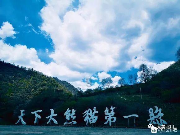 《街舞5》成平台首部热度破万综艺，靠的究竟是谁？