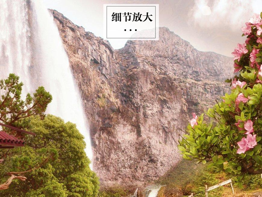 送80岁老同学什么花好？